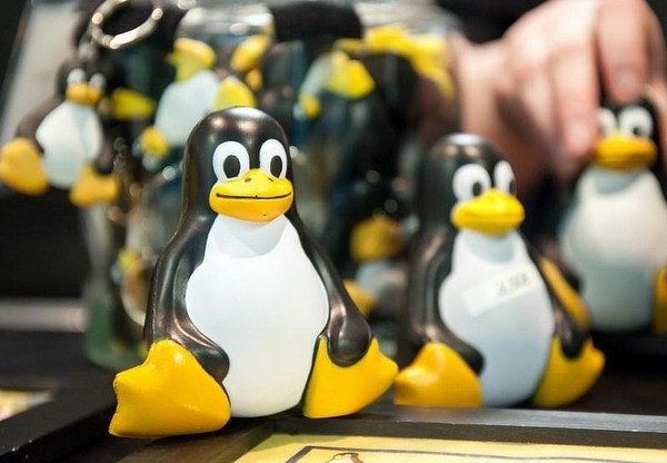 Рыночная доля Linux за пол года выросла в 2 раза