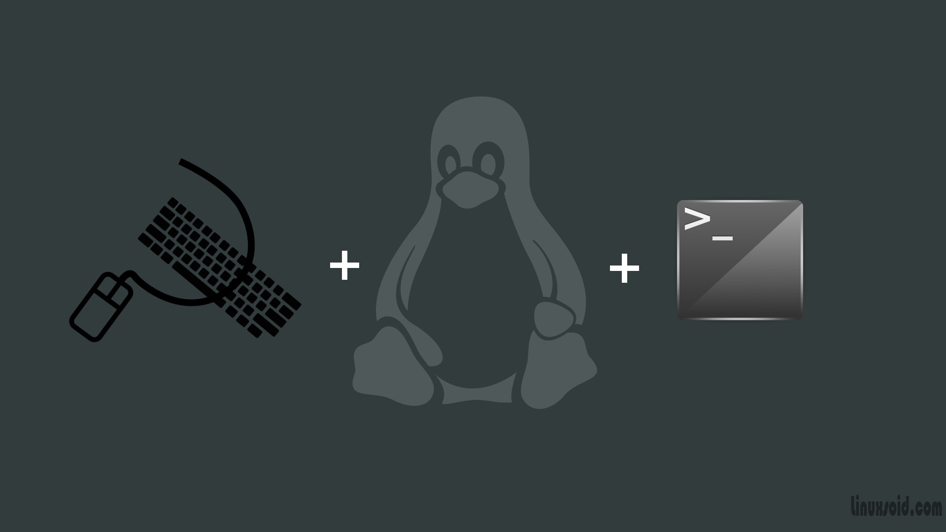 узнаем точные имена пакетов для приложений в Linux
